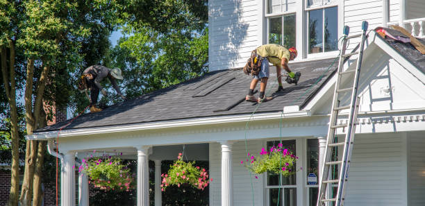 Professional Roofing Contractor in West Hammond, NM